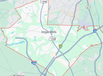 Rockfish Township
